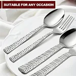 william sonoma Spoon set